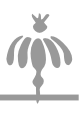 shapeimage_6_link_0